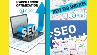 seo company Delhi