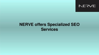 NERVE offers Specialized SEO Services