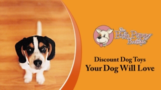Discount Dog Toys Your Dog Will Love