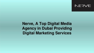 Nerve, A Top Digital Media Agency in Dubai Providing Digital Marketing Services