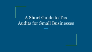 A Short Guide to Tax Audits for Small Businesses