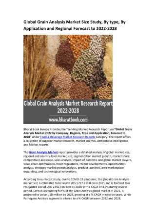 Global Grain Analysis Market Research Report 2022-2028