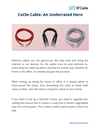 Cat5e Cable_ An Underrated Hero