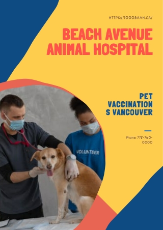 Pet Vaccinations Vancouver - BEACH AVENUE ANIMAL HOSPITAL
