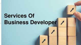 Services Of  Business Developer In Florida