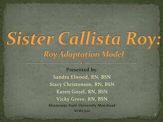 Sister Callista Roy: Roy Adaptation Model