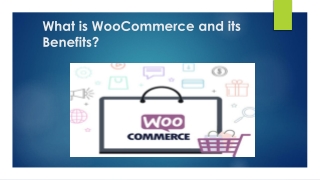 What is WooCommerce and its Benefits