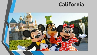 Best Theme Parks in California