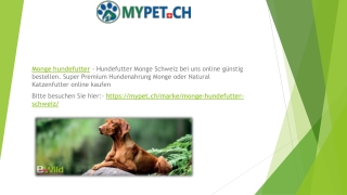 Monge hundefutter