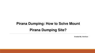 Pirana Dumping: How to Solve Mount Pirana Dumping Site?
