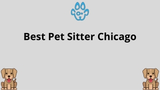 Best Pet Sitter Chicago