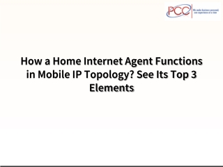 How a Home Internet Agent Functions in Mobile IP Topology See Its Top 3 Elements