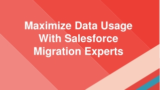 Maximize Data Usage With Salesforce Migration Experts