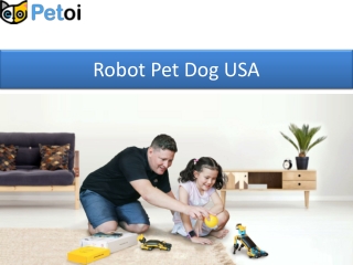 Robot Pet Dog USA