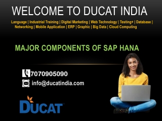 Major Components of SAP HANA