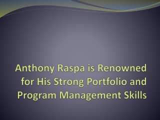 Anthony Raspa is Renowned for His Strong Portfolio and Program Management Skills