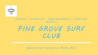 Book Beginners Surf Lessons In Puerto Rico With Pine Grove