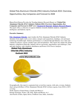 Global Poly Aluminum Chloride (PAC) Industry Outlook 2022  Overview, Opportunities, Key Companies and Forecast to 2028-c