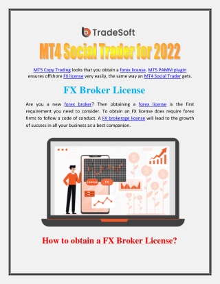 MT4 Social Trader for 2022