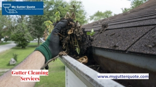 Gutter Cleaning Services