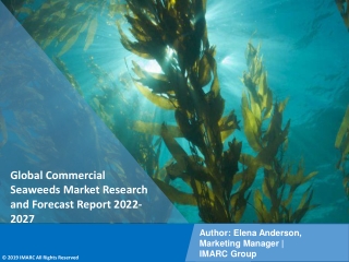 Commercial Seaweeds Market PDF: Industry Overview, Growth Rate and Forecast 2027