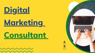 Digital Marketing Consultant