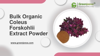 USDA Approved Bulk Organic Coleus Forskohlii Extract Powder Supplier in USA