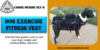 Dog Exercise Fitness Vest