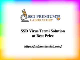 SSD Virus Termi Solution at Best Price | ssdpremiumlab.com