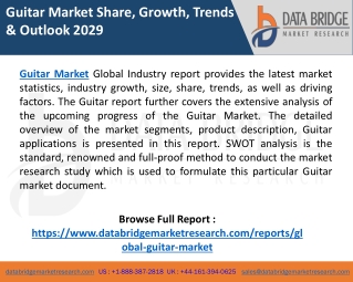 Guitar Market Growth, Industry Size, Trends, Insights and Forecast by 2029