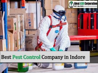 Best Pest Control Company in Indore – Ideal ASR Corporation