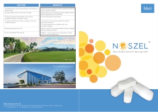 NOSZEL Absorbable Nasal Packing by Meril Life