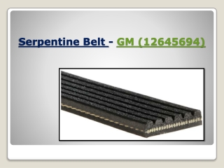 Serpentine Belt - GM (12645694)