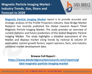 Exclusive Report on Magnetic Particle Imaging Market Analysis Report 2021
