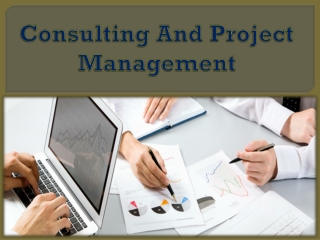 Consulting And Project Management
