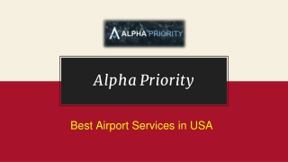 VIP Airport Concierge Services | Luxury Ground Transportation | Alpha Priority