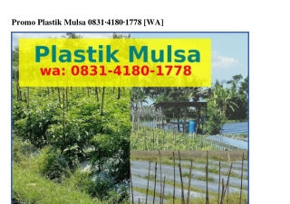 Promo PlastikPromo Plastik Mulsa Ô8౩l–Ꮞl8Ô–l778(WA) Mulsa