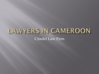 Lawyers in cameroon
