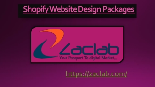 Shopify Website Design Packages