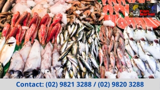 Australian Seafood Retailer