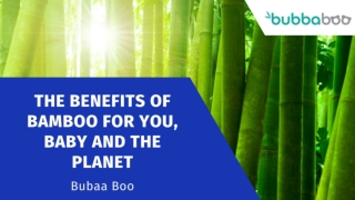 The benefits of Bamboo for You, Baby and the Planet