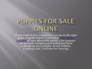 Puppies For Sale Online