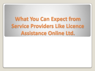What You Can Expect from Service Providers Like Licence Assistance Online Ltd.
