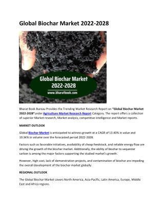 Global Biochar Market 2022-2028