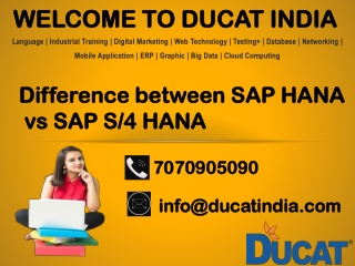 Difference between SAP HANA vs SAP S/4 HANA
