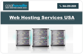Web Hosting Services USA