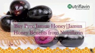 Buy Pure Jamun Honey | Jamun Honey Benefits from Nutriflavin