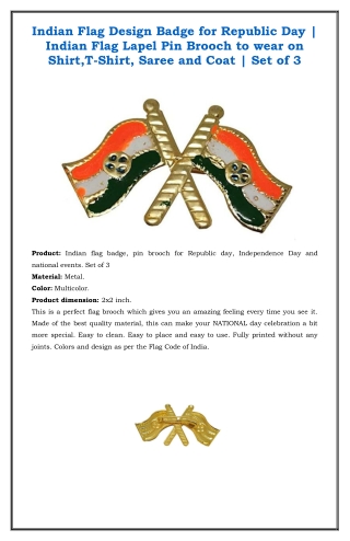 Indian Flag Brooch