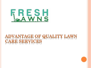 Advantage of Quality Lawn Care Services