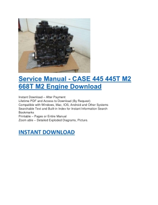 Service Manual - CASE 445 445T M2 668T M2 Engine